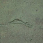 Featuring Carrying The Olive Branch No.2 Art by Tyler Guinn by Four Hands at Amethyst Home. Based in Austin, Texas, abstract-expressionist painter Tyler Guinn looks to texture and organic sensibility to shape his wide variety of works, from geometric pieces and flowing landscapes to mark making and automatic writing. Handmade in Austin, Texas.40" x 24.5"Overall Dimensions: 40.00"w . Amethyst Home provides interior design, new construction, custom furniture, and area rugs in the Portland metro area