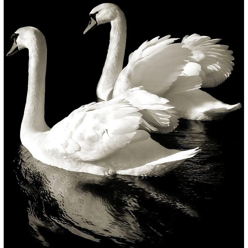 Featuring Connie and Clyde Art by Wendover Art at Amethyst Home. Specialty:  Gallery Wrapped, Matte FinishMedium : CanvasSize : 25"w x 31"hTreatment : Gallery Wrapped, Matte Finish Framed as shown. Amethyst Home provides interior design, new home construction design consulting, vintage area rugs, and lighting in the Nashville metro area.