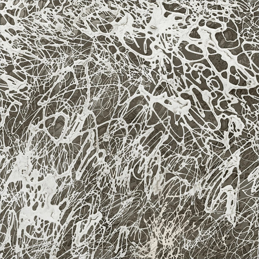 Echoes Of Whispers 1 Art - 50 x 50