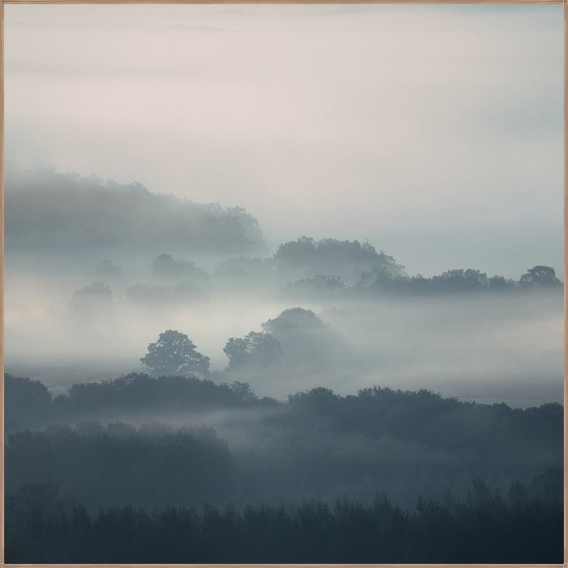 Featuring Ethereal Mist Art by Leftbank Art at Amethyst Home. Finish : LinenFrame :  BuffImage Size : 40.00 in x 40.00 inOverall Size : 41.25 in x 41.25 inSubstrate : Linen ArtArtist : David Keochkerian Framed as shown. Amethyst Home provides interior design, new construction, custom furniture, and area rugs in the Boston metro area