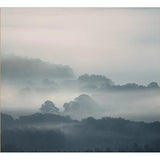 Featuring Ethereal Mist Art by Leftbank Art at Amethyst Home. Finish : LinenFrame :  BuffImage Size : 40.00 in x 40.00 inOverall Size : 41.25 in x 41.25 inSubstrate : Linen ArtArtist : David Keochkerian Framed as shown. Amethyst Home provides interior design, new construction, custom furniture, and area rugs in the Boston metro area