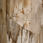 Featuring Aida Light Petrified Wood End Table by Four Hands at Amethyst Home. A perfectly scaled end table of petrified wood is an instant head turner, bringing an earthen look to your space.Overall Dimensions: 24.00"w x 24.00"d x 22.00"hWeight : 124.56 lbsMaterials: Petrified Wood. Amethyst Home provides interior design, new home construction design consulting, vintage area rugs, and lighting in the Alpharetta metro area.