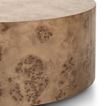 Featuring Caya Caramel Burl Coffee Table by Four Hands at Amethyst Home. Simple drum shaping showcases the natural artistry of the richly grained caramel burl veneer. Its compact size is ideal for smaller spaces.
Overall Dimensions: 31.5" L x 31.5 " W x 13.75" H
Collection: HughesColors: Caramel BurlMaterials: Light Maple Veneer, Poplar PlywoodWeight: 44.09 lb. Amethyst Home provides interior design, new home construction design consulting, vintage area rugs, and lighting in the Austin metro area.