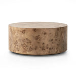 Featuring Caya Caramel Burl Coffee Table by Four Hands at Amethyst Home. Simple drum shaping showcases the natural artistry of the richly grained caramel burl veneer. Its compact size is ideal for smaller spaces.
Overall Dimensions: 31.5" L x 31.5 " W x 13.75" H
Collection: HughesColors: Caramel BurlMaterials: Light Maple Veneer, Poplar PlywoodWeight: 44.09 l. Amethyst Home provides interior design, new home construction design consulting, vintage area rugs, and lighting in the Houston metro area.