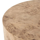 Featuring Caya Caramel Burl Coffee Table by Four Hands at Amethyst Home. Simple drum shaping showcases the natural artistry of the richly grained caramel burl veneer. Its compact size is ideal for smaller spaces.
Overall Dimensions: 31.5" L x 31.5 " W x 13.75" H
Collection: HughesColors: Caramel BurlMaterials: Light Maple Veneer, Poplar PlywoodWeight: 44.09 lbs. Amethyst Home provides interior design, new home construction design consulting, vintage area rugs, and lighting in the Tampa metro area.