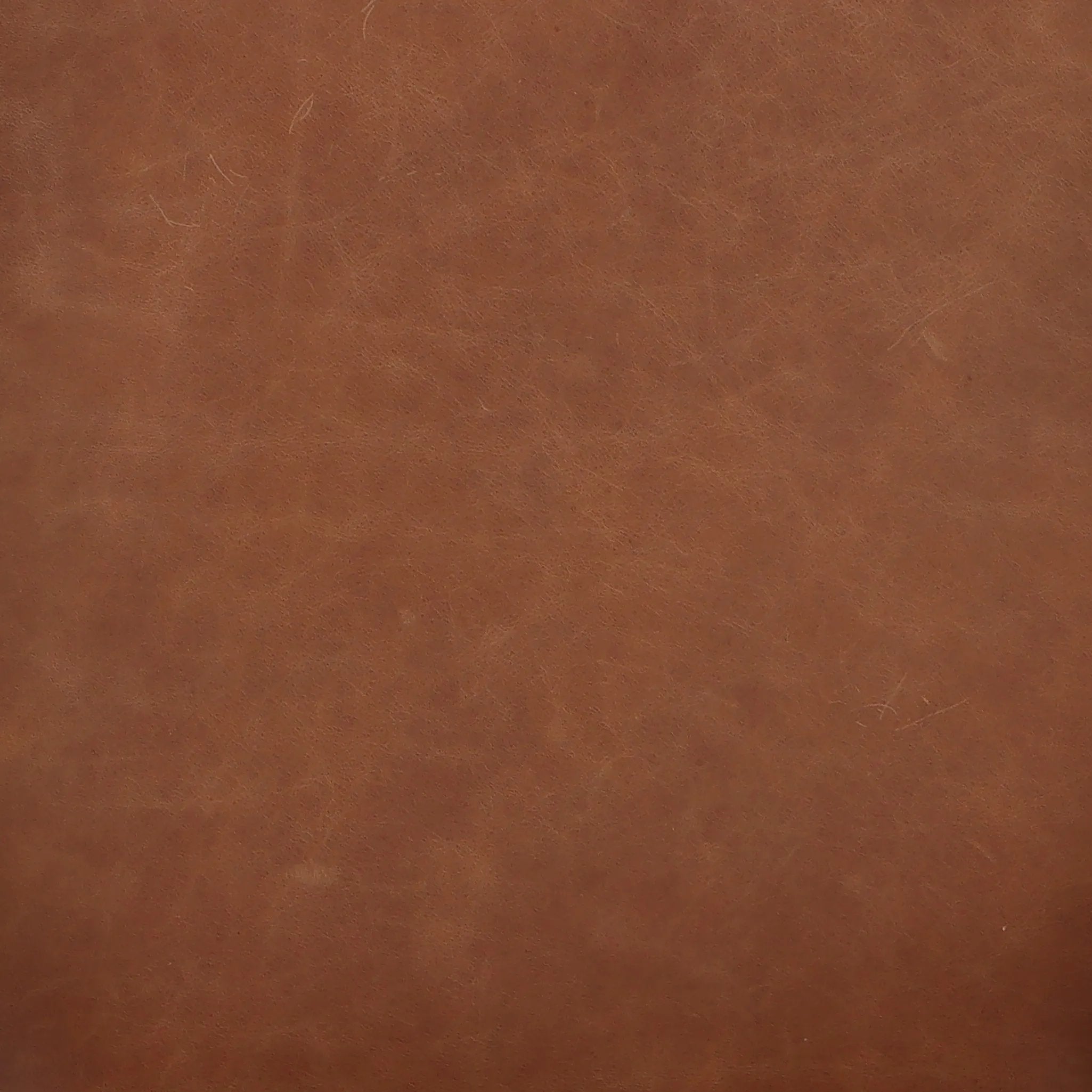 Featuring Dane Sonoma Chestnut Dining Chair by Four Hands at Amethyst Home. Indulge in the refined elegance of the Dane Sonoma Chestnut Dining Chair. With its classic design and luxurious chestnut finish, this dining chair is the perfect addition to any upscale dining room. Its sturdy construction ensures both style and comfort, making every meal a lavish e. Amethyst Home provides interior design, new home construction design consulting, vintage area rugs, and lighting in the Calabasas metro area.