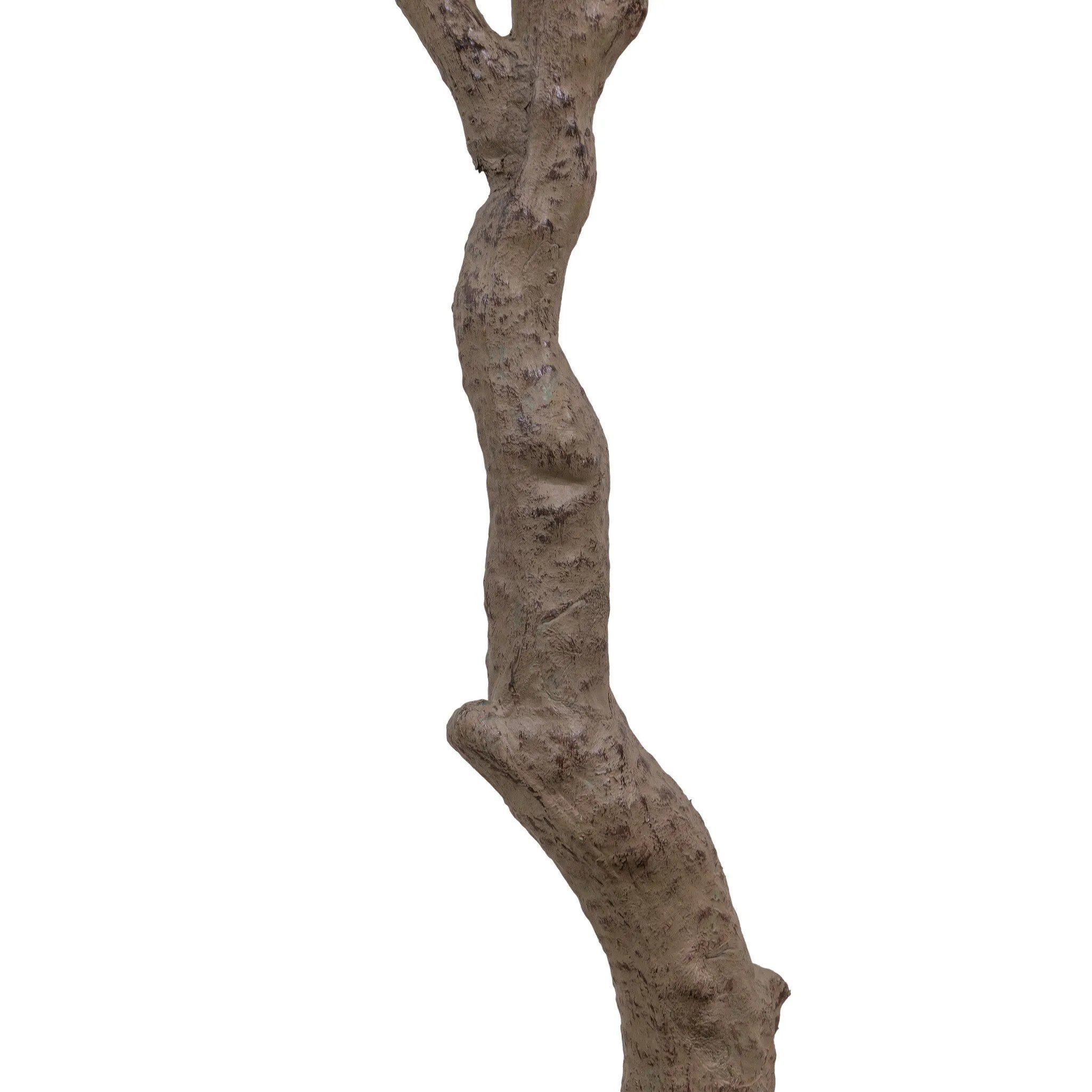 Dense foliage and high-quality construction shape the branches and leaves of this faux aralia tree, for a realistic look that's designed for easy living. Ships in a black plastic liner pot. For indoor use only Amethyst Home provides interior design, new home construction design consulting, vintage area rugs, and lighting in the Boston metro area.