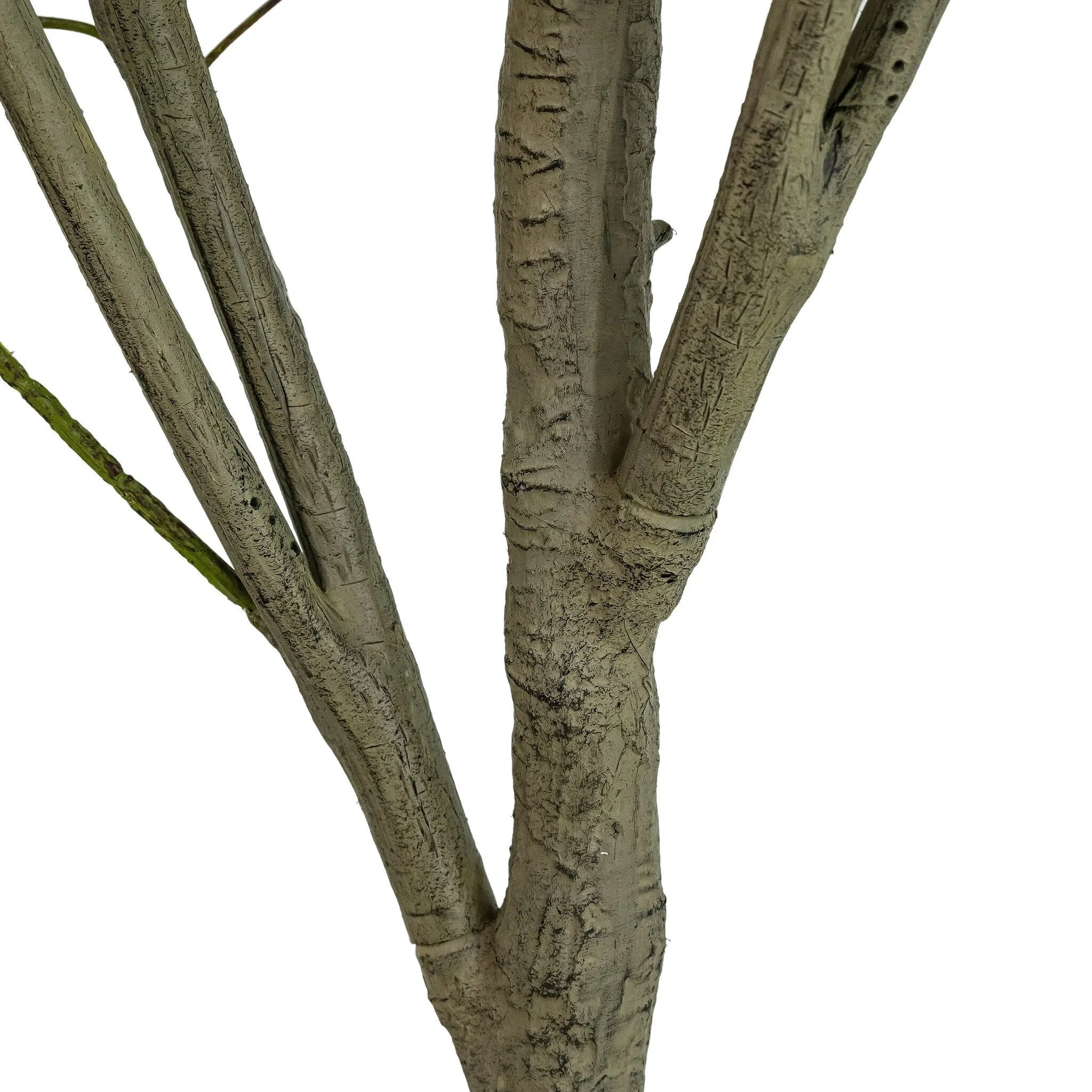High-quality construction crafts the branches and disc-shaped leaves of this faux eucalyptus tree, for a realistic look that's designed for easy living. Ships in a black plastic liner pot. For indoor use only Amethyst Home provides interior design, new home construction design consulting, vintage area rugs, and lighting in the Calabasas metro area.
