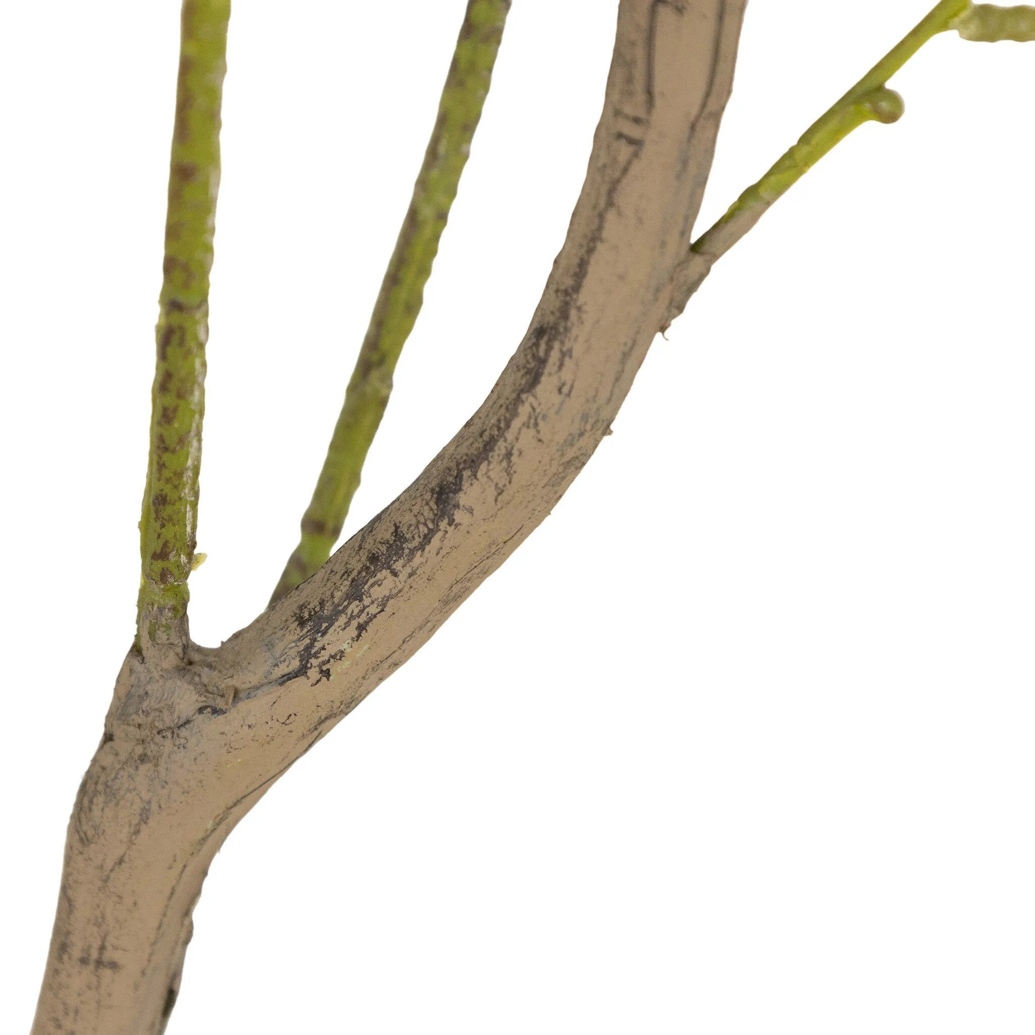 High-quality construction crafts the branches and disc-shaped leaves of this faux eucalyptus tree, for a realistic look that's designed for easy living. Ships in a black plastic liner pot. For indoor use only Amethyst Home provides interior design, new home construction design consulting, vintage area rugs, and lighting in the Los Angeles metro area.