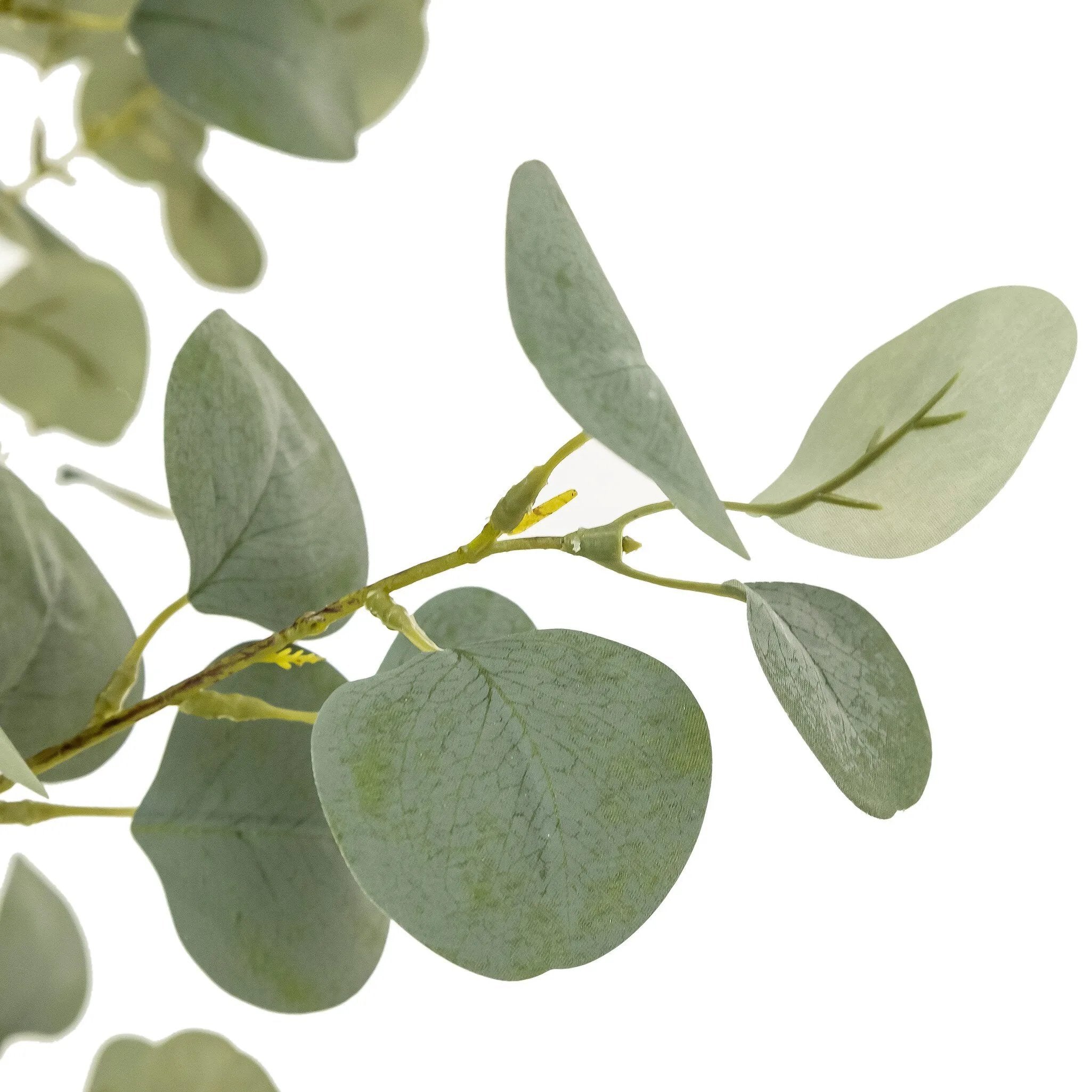 High-quality construction crafts the branches and disc-shaped leaves of this faux eucalyptus tree, for a realistic look that's designed for easy living. Ships in a black plastic liner pot. For indoor use only Amethyst Home provides interior design, new home construction design consulting, vintage area rugs, and lighting in the Newport Beach metro area.