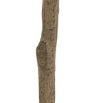 High-quality construction crafts the branches and disc-shaped leaves of this faux eucalyptus tree, for a realistic look that's designed for easy living. Ships in a black plastic liner pot. For indoor use only Amethyst Home provides interior design, new home construction design consulting, vintage area rugs, and lighting in the Park City metro area.