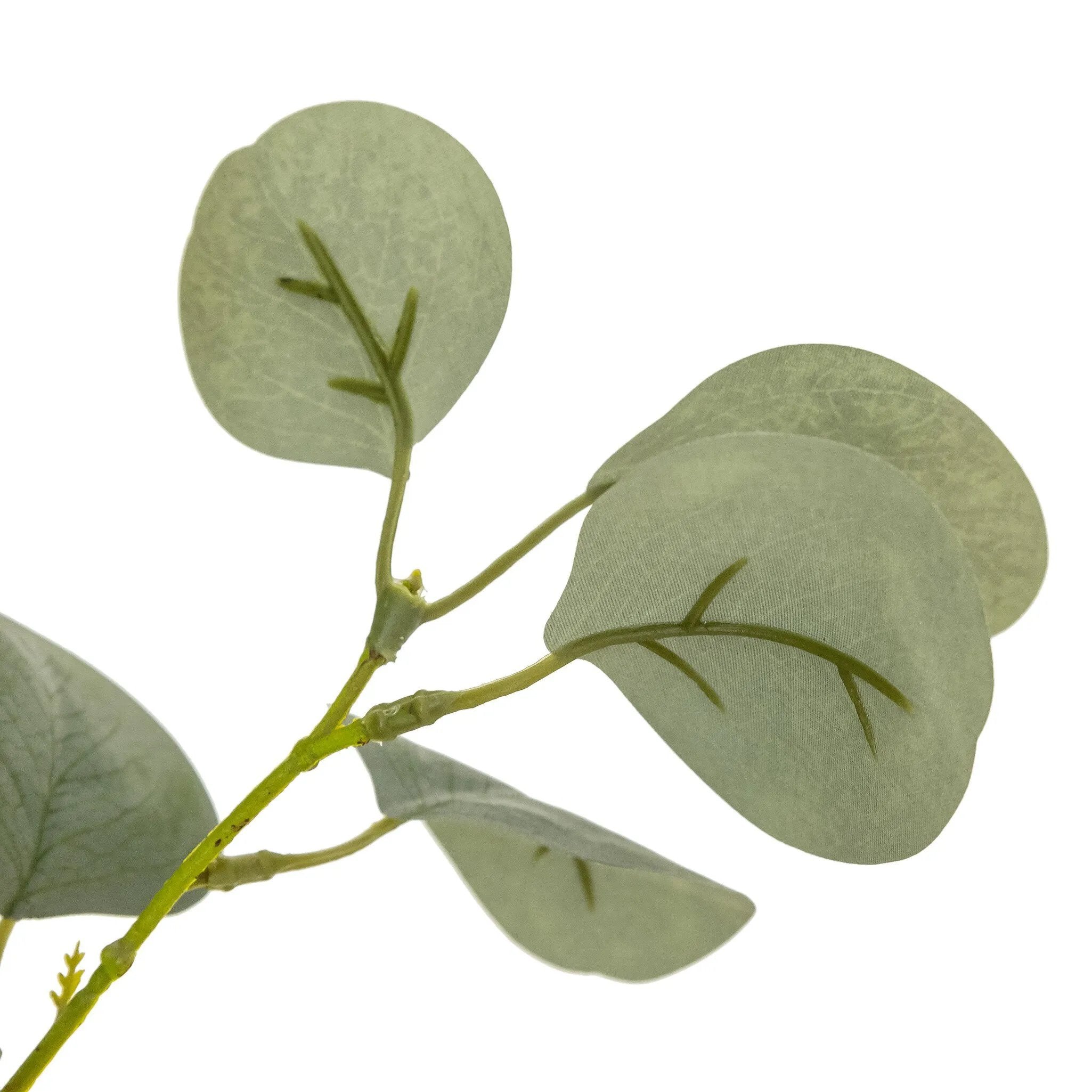 High-quality construction crafts the branches and disc-shaped leaves of this faux eucalyptus tree, for a realistic look that's designed for easy living. Ships in a black plastic liner pot. For indoor use only Amethyst Home provides interior design, new home construction design consulting, vintage area rugs, and lighting in the Portland metro area.
