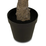 Dense foliage and high-quality construction shape the branches and leaves of this faux fruitless olive tree, for a realistic look that's designed for easy living. Ships in a black plastic liner pot. For indoor use only Amethyst Home provides interior design, new home construction design consulting, vintage area rugs, and lighting in the Calabasas metro area.