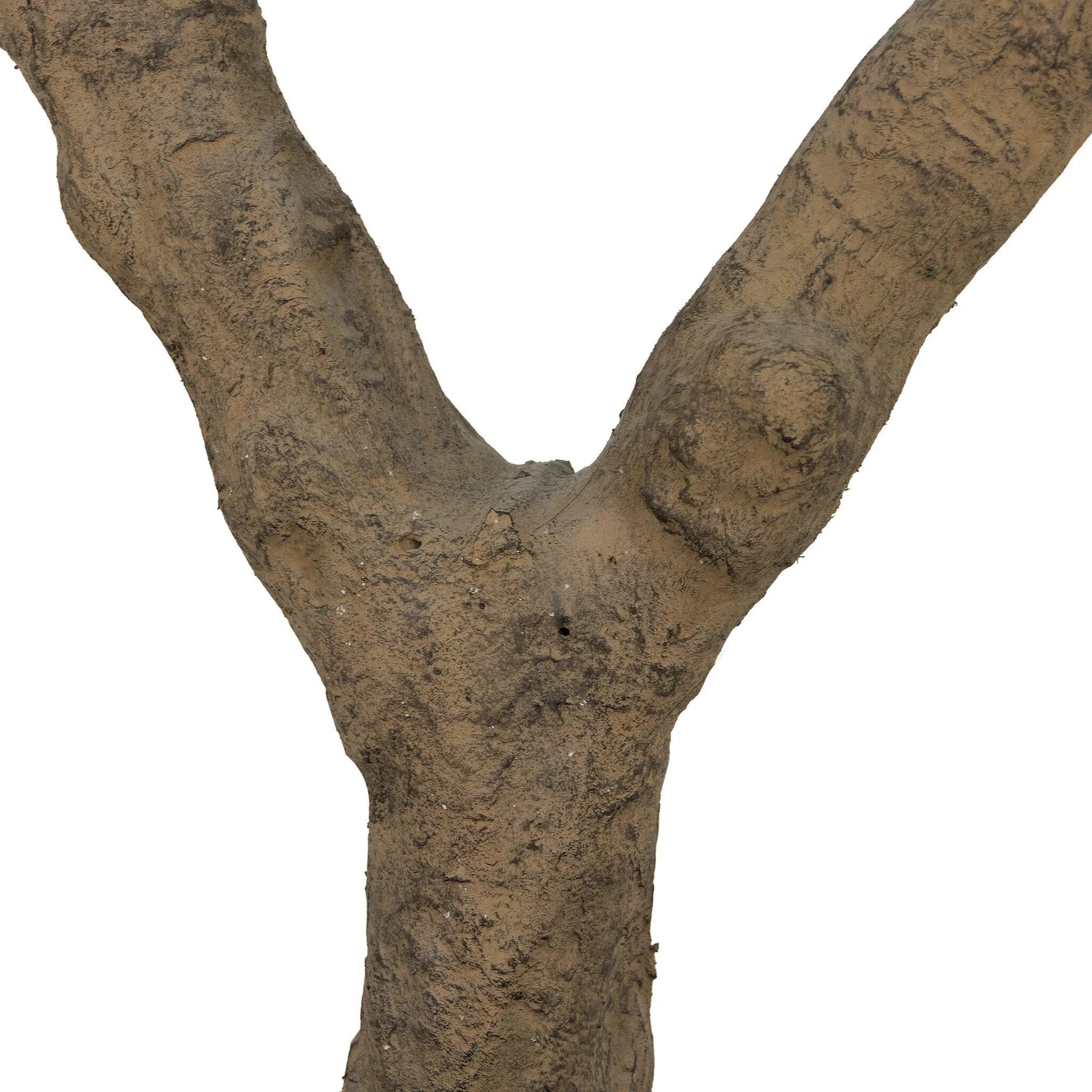 Dense foliage and high-quality construction shape the branches and leaves of this faux fruitless olive tree, for a realistic look that's designed for easy living. Ships in a black plastic liner pot. For indoor use only Amethyst Home provides interior design, new home construction design consulting, vintage area rugs, and lighting in the Laguna Beach metro area.