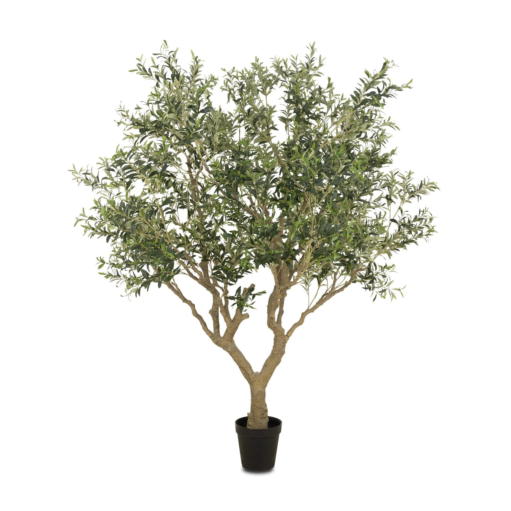Dense foliage and high-quality construction shape the branches and leaves of this faux fruitless olive tree, for a realistic look that's designed for easy living. Ships in a black plastic liner pot. For indoor use only Amethyst Home provides interior design, new home construction design consulting, vintage area rugs, and lighting in the Scottsdale metro area.