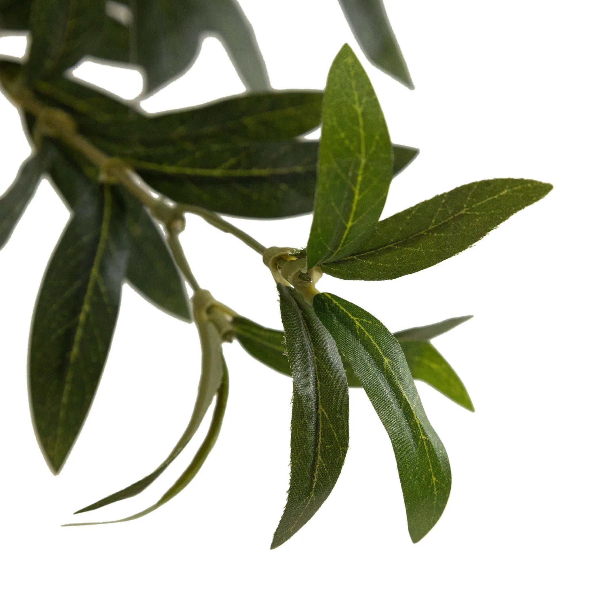 Dense foliage and high-quality construction shape the branches and leaves of this faux fruitless olive tree, for a realistic look that's designed for easy living. Ships in a black plastic liner pot. For indoor use only Amethyst Home provides interior design, new home construction design consulting, vintage area rugs, and lighting in the Tampa metro area.