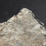 Featuring Sonora Maple Box Noche by Paul Meyer by Four Hands at Amethyst Home. Elevate your space with the Sonora Maple Box Noche by Paul Meyer. This exquisite piece of artwork adds a touch of sophistication and elegance to any room. Crafted with the finest materials and attention to detail, it is truly a luxury item. Embrace the beauty of art in your h. Amethyst Home provides interior design, new home construction design consulting, vintage area rugs, and lighting in the Winter Garden metro area.