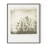 Austin, Texas-based Darden Smith’s multi-media practice encompasses music, photography, illustration, video and printmaking. Also a singer-songwriter, he draws inspiration from cartoons, line drawings and watercolors.  Handmade in Austin, Texas Amethyst Home provides interior design, new home construction design consulting, vintage area rugs, and lighting in the Calabasas metro area.