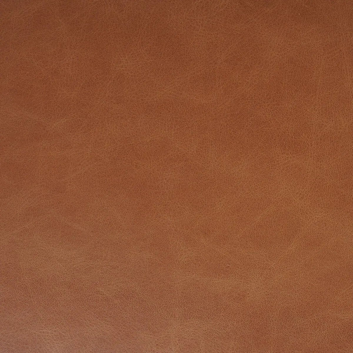 Featuring Tamari Sonoma Chestnut Dining Chair by Four Hands at Amethyst Home. Upgrade your dining experience with the Tamari Sonoma Chestnut Dining Chair. Made with high-quality materials, this chair provides comfortable seating while adding a touch of elegance to your dining room. Its sleek design and sturdy construction make it the perfect addition to a. Amethyst Home provides interior design, new home construction design consulting, vintage area rugs, and lighting in the Kansas City metro area.