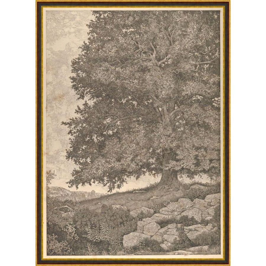 Grandfather's Tree Art - 38 x 52