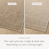 Featuring Newman Taupe / Bone Rug by Loloi at Amethyst Home. The Newman Collection is a power-loomed area rug made of soft space-dyed polyester, which lends a subtle gradation of color in an easy-to-clean, no-shed construction. The versatile, vintage-inspired design features distressed white motifs against lovely and light tonal backgrounds. The Newman Colle. Amethyst Home provides interior design, new home construction design consulting, vintage area rugs, and lighting in the Portland metro area.