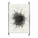 Nest Study #2