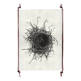 Nest Study #2