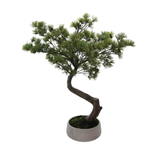 Oversized Bonsai Tree