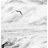 Featuring Rough Waves 1 Art by Wendover Art at Amethyst Home. Experience the beauty of the ocean with our Rough Waves 1 Art. This stunning artwork captures the captivating movement of the waves, bringing a sense of calm and serenity to any space. Expertly crafted and sure to make a statement, this piece is a must-have for any art lover.
Specialty: Gallery W. Amethyst Home provides interior design, new home construction design consulting, vintage area rugs, and lighting in the Charlotte metro area.