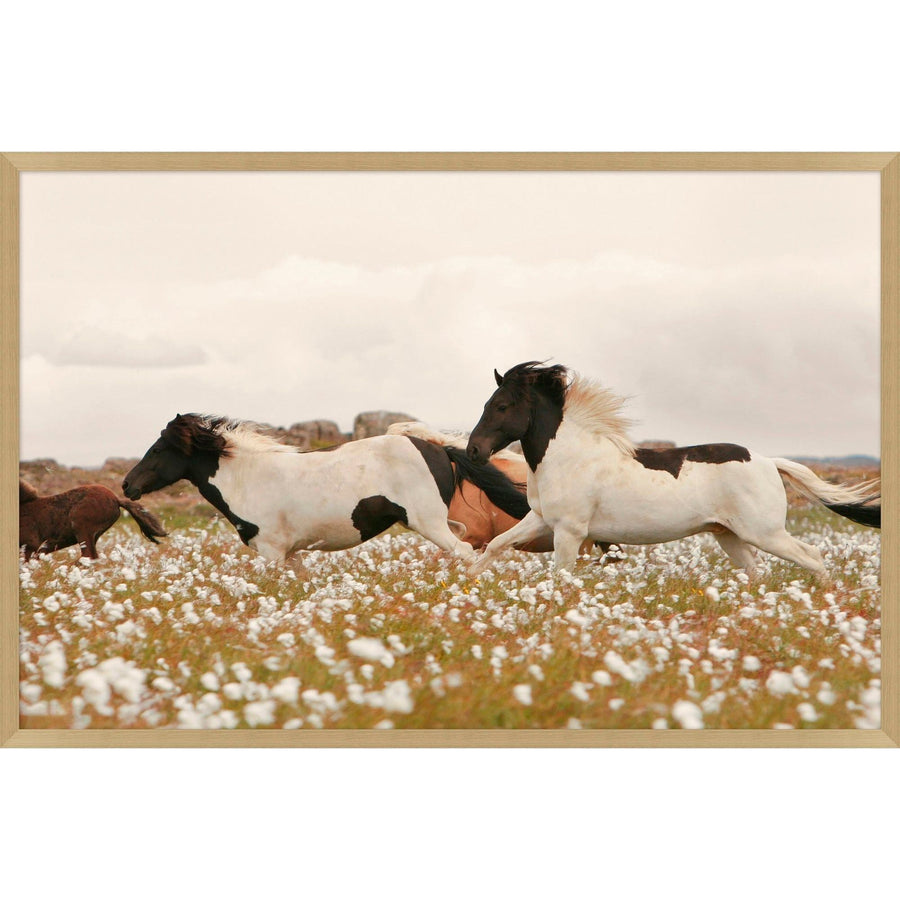 Wildflower Stallions Art - 47 x 31