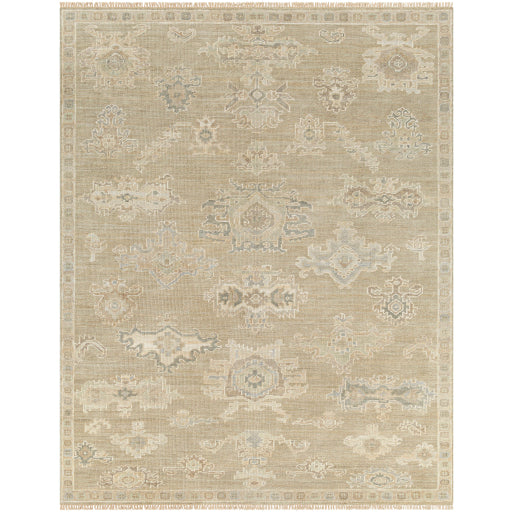 Featuring Antalya Beige / Sage Hand-Knotted Rug by Surya at Amethyst Home. The Antalya Collection showcases traditional inspired designs that exemplify timeless styles of elegance, comfort, and sophistication. With their hand knotted construction, these rugs provide a durability that can not be found in other handmade constructions, and boasts the ability.  Amethyst Home provides interior design, new home construction design consulting, vintage area rugs, and lighting in the Des Moines metro area.