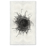 Nest Study #2 - Amethyst Home