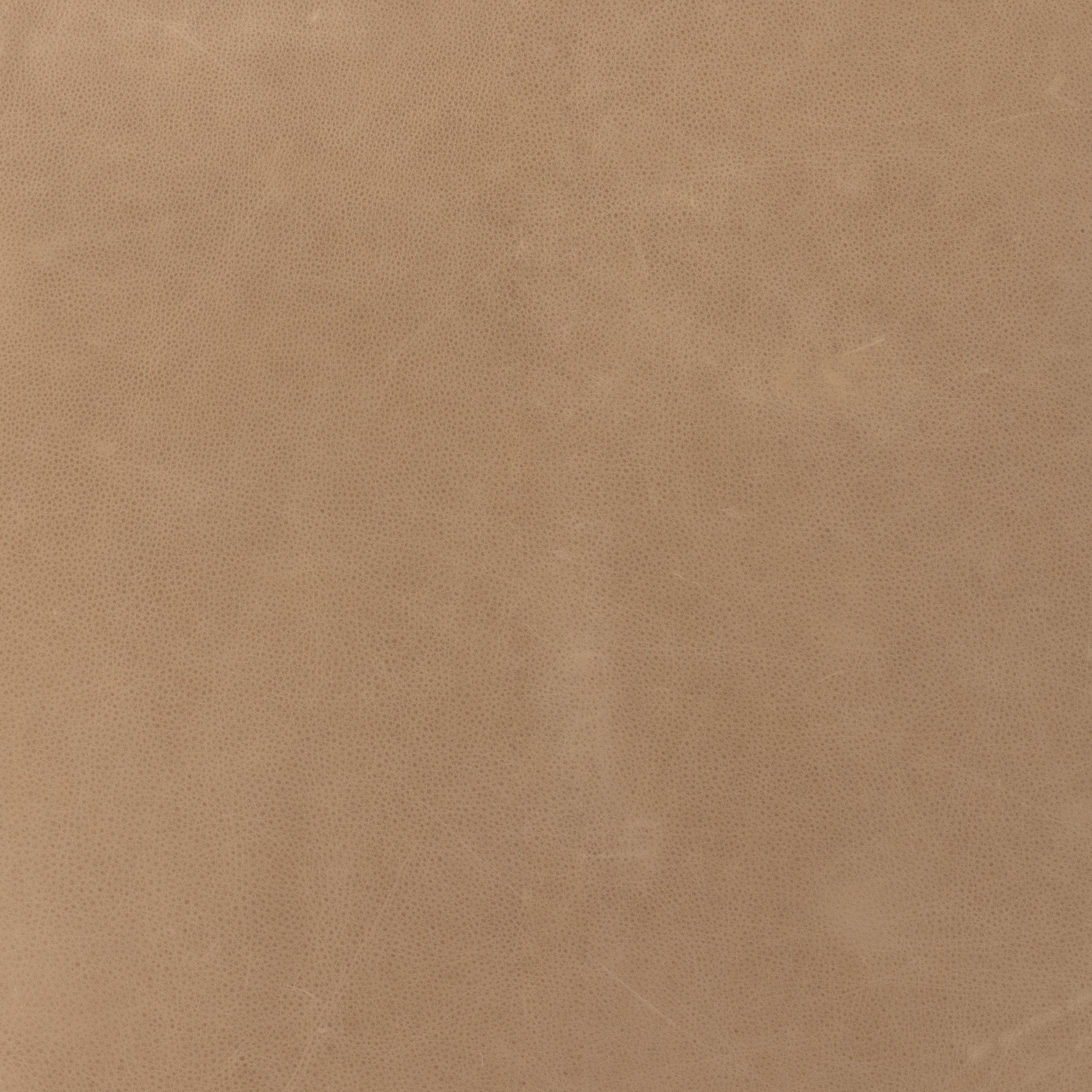 Featuring Chance Palermo Nude Recliner by Four Hands at Amethyst Home. A dramatically shaped midcentury silhouette, modernized with channel tufting. Upholstered in a nude hue top-grain leather with natural whitewashed ash framing for a clean, monochromatic look. A push recliner takes this forward-thinking lounger to the next level.Overall Dimensions: 27.50"W x 36"L x 36"H
Collect. Amethyst Home provides interior design, new construction, custom furniture, and area rugs in the Charlotte metro area.