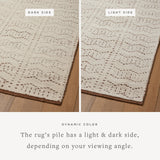 Featuring Carrier & Company x Loloi Walker Rust / Ivory Hand-Knotted Rug by Loloi at Amethyst Home. Hand KnottedWool | Cotton | Other FibersWAL-02 Rust / IvoryPile Height: 0.38"Clean spills immediately by blotting with a clean, white sponge or cloth. Professional cleaning recommended. Appropriate rug pad is highly recommended on all surfaces to prevent slippin. Amethyst Home provides interior design, new home construction design consulting, vintage area rugs, and lighting in the Boston metro area.