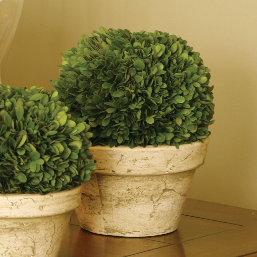 Real English boxwoods, preserved and painstakingly assembled by our masterful artists. This classic arrangement is artfully arranged and preserved to perfection. A home accent steeped in tradition and classic charm. Amethyst Home provides interior design, new construction, custom furniture, and area rugs in the Kansas City metro area.