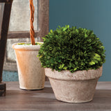 Real English boxwoods, preserved and painstakingly assembled by our masterful artists. This classic arrangement is artfully arranged and preserved to perfection. A home accent steeped in tradition and classic charm. Amethyst Home provides interior design, new construction, custom furniture, and area rugs in the Portland metro area.