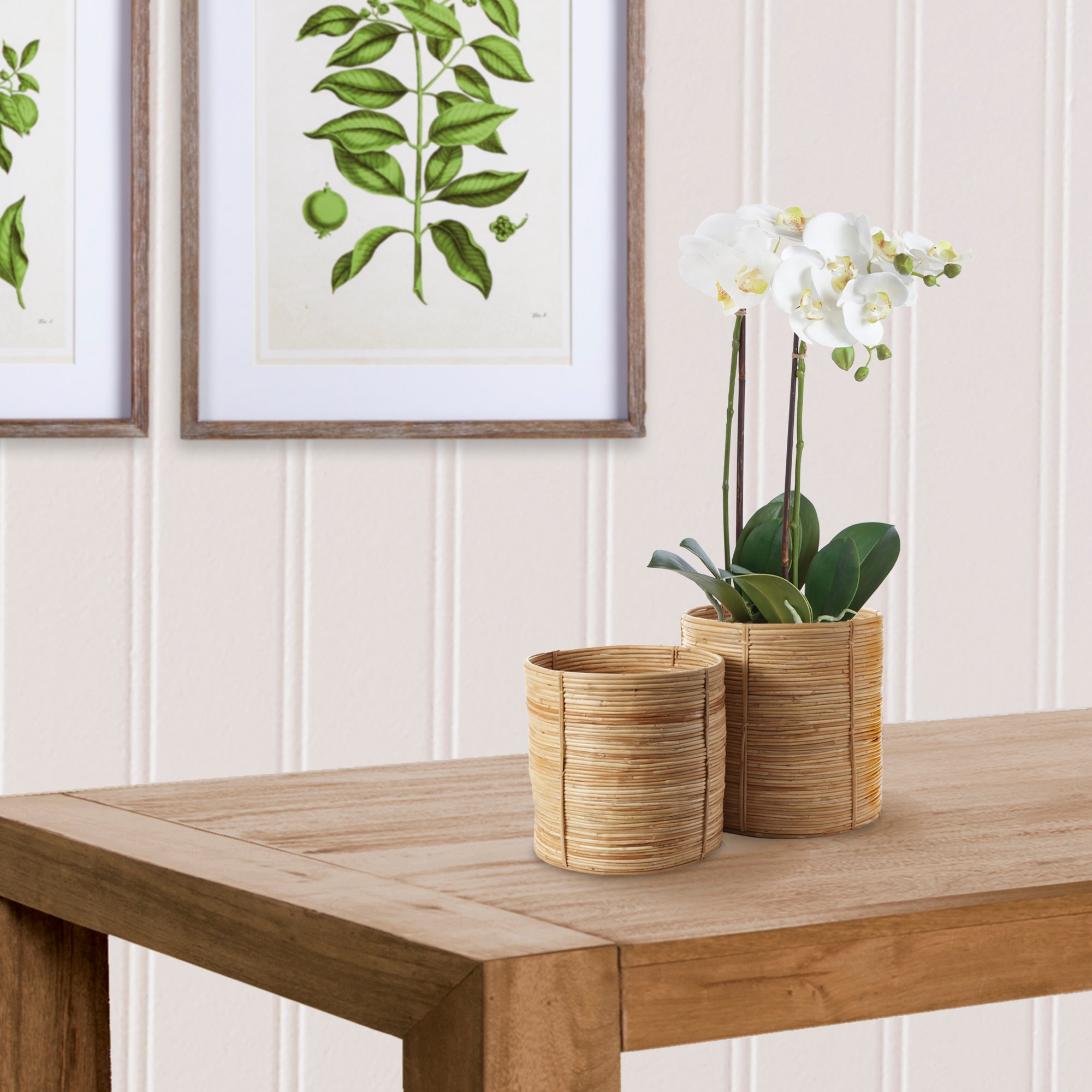 Rattan goes mod with our latest Cane Rattan collection. With a light and refined color & finish, a distinctively more edgy, youthful aesthetic. Amethyst Home provides interior design, new construction, custom furniture, and area rugs in the Park City metro area.