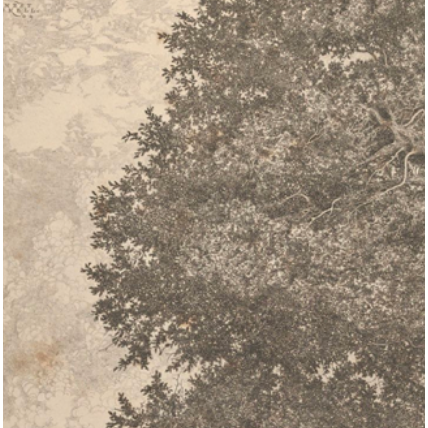 Featuring Grandfather's Tree Art by Wendover Art at Amethyst Home. This Grandfather's Tree Art brings a classic, storybook vibe to any living room, kitchen, or other area. 
Medium: Matte PaperTreatment: Straight Fit (No Mats)Size: 38.5"w x 52.5"h Framed as shown.  Amethyst Home provides interior design, new home construction design consulting, vintage area rugs, and lighting in the Salt Lake City metro area.