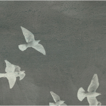 Featuring Flight 2 Art (Oversized) by Wendover Art at Amethyst Home. We love the mood of our Flight 2 gallery wrapped raw canvas. Match this with Flight 1 to complete the look! 
Medium: Raw CanvasTreatment: Gallery WrappedSize: 40.25"w x 60.25"h Framed as shown.  Amethyst Home provides interior design, new home construction design consulting, vintage area rugs, and lighting in the Houston metro area.