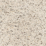 Featuring La Palma Marled Charcoal Hand-Knotted Rug by Surya at Amethyst Home. The simplistic yet compelling rugs from the La Palma Collection effortlessly serve as the exemplar representation of modern decor. With their hand knotted construction, these rugs provide a durability that can not be found in other handmade constructions, and boasts the ability .  Amethyst Home provides interior design, new home construction design consulting, vintage area rugs, and lighting in the Charlotte metro area.