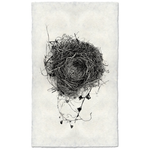 Nest Study #3 - Amethyst Home