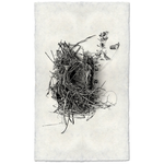 Nest Study #1 - Amethyst Home