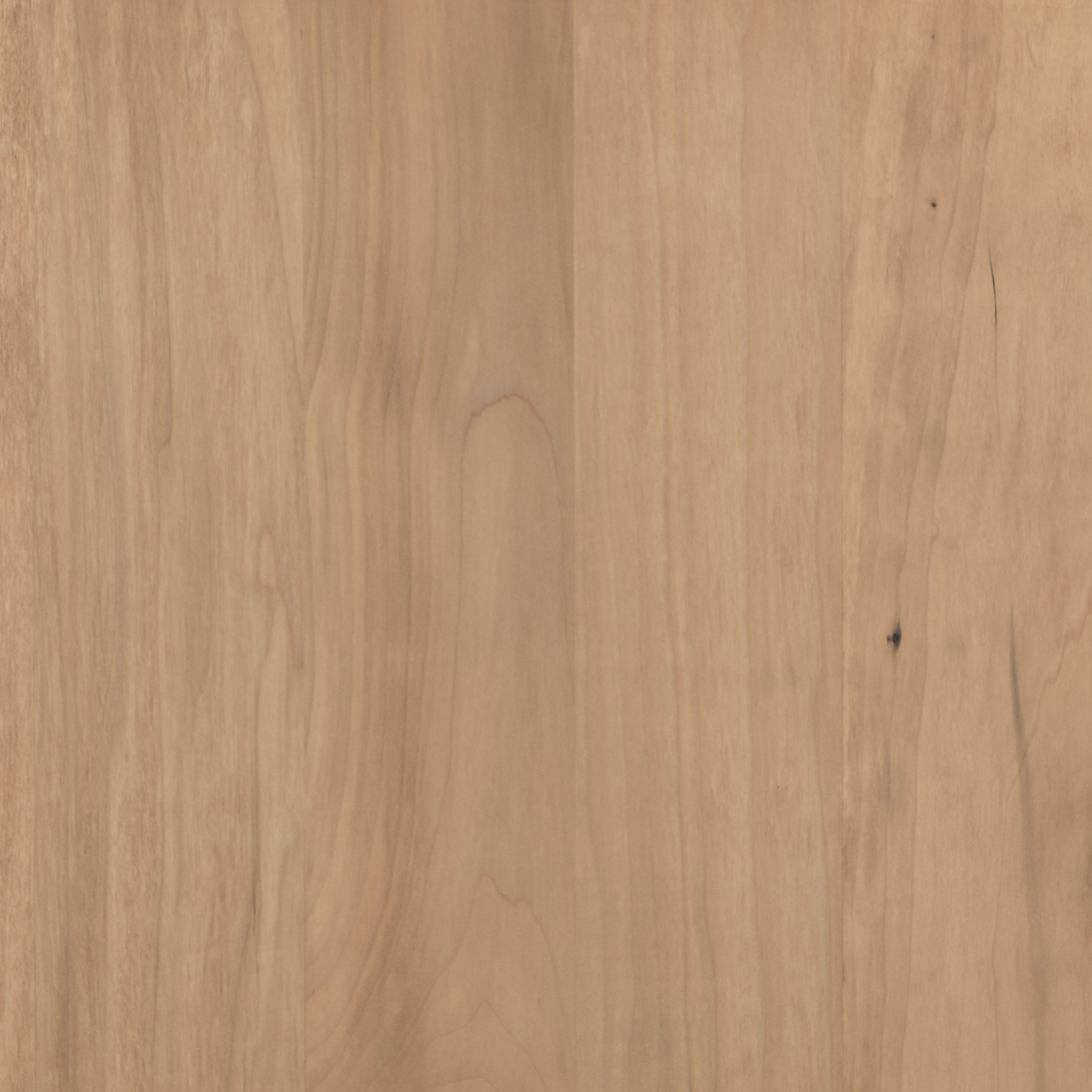 Featuring Isador Media Console - Dry Wash Poplar by Four Hands at Amethyst Home. This Isador Media Console - Dry Wash Poplar is clean, bright and dreamy. Solid dry-washed poplar forms a clean-lined media console with dovetail joinery plus iron and leather hardware, for a fresh look to any living room.
Ample shelving + rear cut outs for cord management brings t.  Amethyst Home provides interior design, new home construction design consulting, vintage area rugs, and lighting in the Tampa metro area.