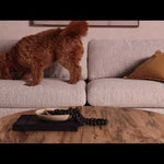 Simple and streamlined with fresh, thoughtful details. Slim, black-finished round stock iron suspends an almond-finished nettlewood deck, with a flannel-colored linen-blend seat and floating back with a rear wooden stretcher. Amethyst Home provides interior design services, furniture, rugs, and lighting in the Portland metro area.