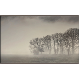 Morning Mist III Art