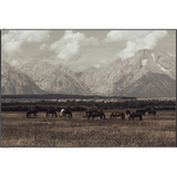 Légendes du Far West I Art