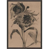 Shaded Flora VIII Art