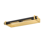 Judd Picture Light - Aged Brass/Distressed Bronze | ready to ship!
