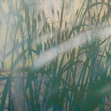 A Continuity by Fountain Grass Studios
