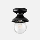 Alabax Medium Flush Mount